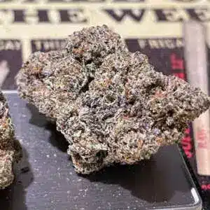 1239F517-2B53-4EA2-B584-399CF1050C3D