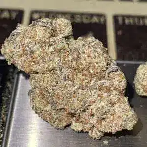 84EE1368-3665-46BD-BFA2-1AFB79FE5899