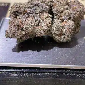 E0A06E0F-04F1-4795-900A-CF4562CFCDAC