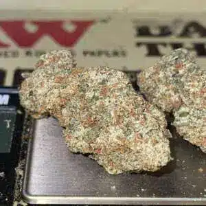 F78449F2-A36F-4E2C-8E42-AABCF71CD0B5