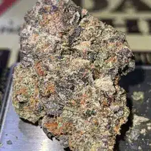 103A3980-3BDF-4F05-92F0-A99107777809