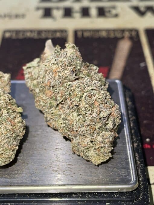 Pink Bubble Gum